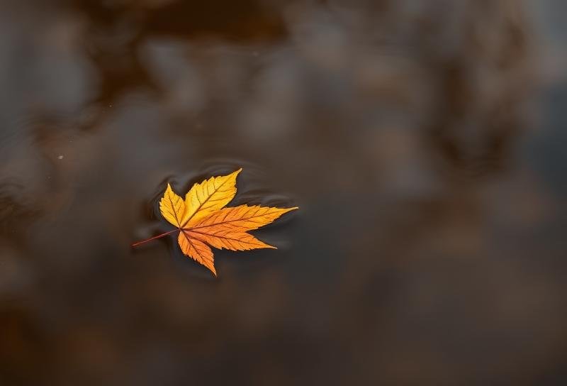 Anticipatory Grief: Coping with Loss Before It Happens